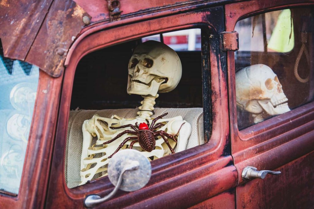 skeleton sitting in car with fake spider on chest