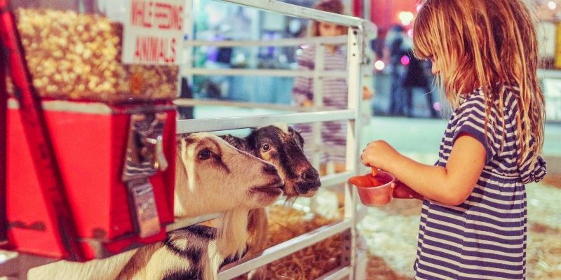 does passage have the same features as hauntpay?