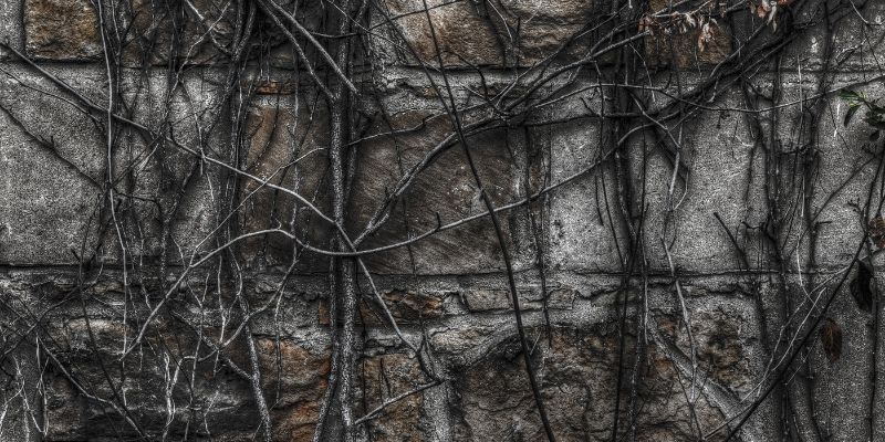 phobias that would make great haunted attraction themes