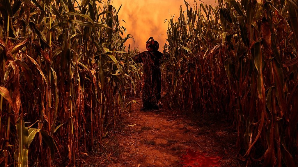 fields of fear