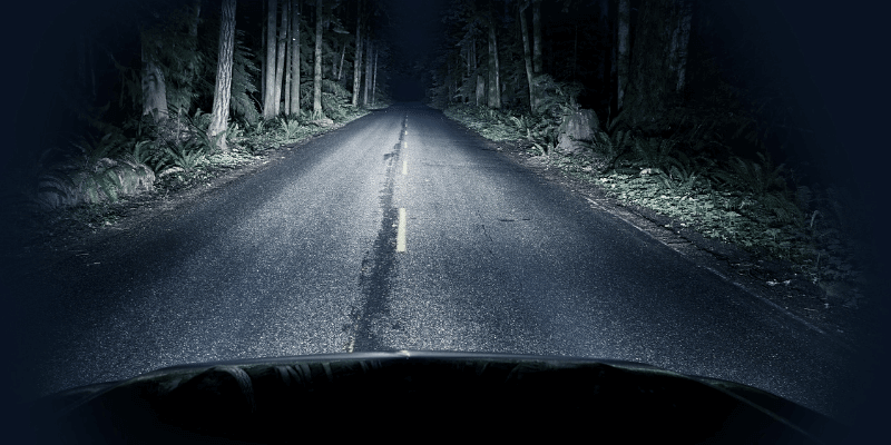 car driving through forest at nighttime