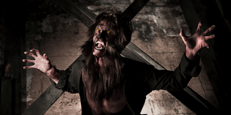 A scare actor dressed as a werewolf, baring his teeth and reach his arms outwards.