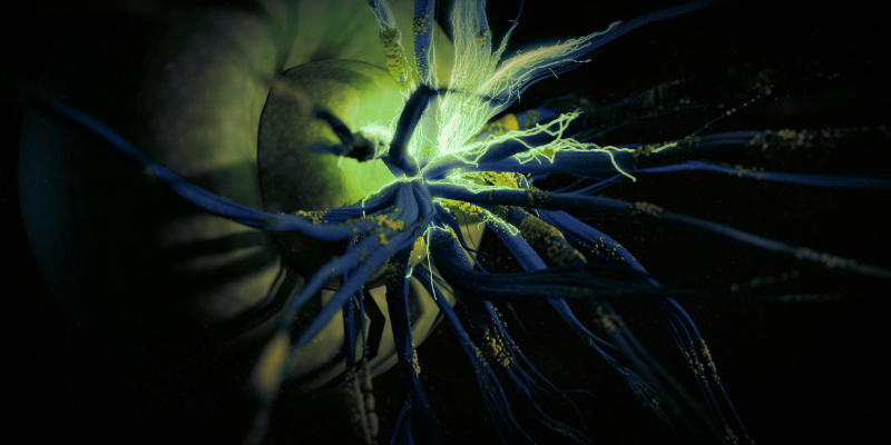 Anemone-like creature with blue tentacles