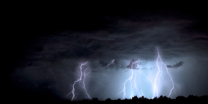 Lightning Storm in Arizona, Dark Sky with Heavy Clouds and Multiple Bolts of Lightning Striking the Trees Below