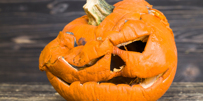 Rotting jack-o-lantern starting to fall over to one side